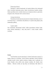 Demokratijos samprata antikoje ir šiuolaikiniame pasaulyje: panašumai ir skirtumai 17 puslapis