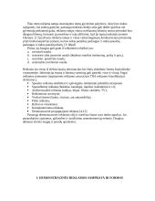 Demonstracinė reklama 2 puslapis