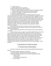 Demonstracinė reklama 11 puslapis