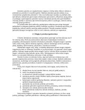 Demonstracinė reklama 7 puslapis