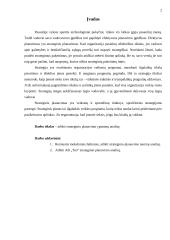 Efektyvaus planavimo metodai: teorija ir praktika. Interneto prieigos ir balso telefonijos paslaugų teikimas AB "Teo LT" 3 puslapis