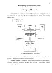 Efektyvaus planavimo metodai: teorija ir praktika. Interneto prieigos ir balso telefonijos paslaugų teikimas AB "Teo LT" 4 puslapis