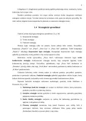 Efektyvaus planavimo metodai: teorija ir praktika. Interneto prieigos ir balso telefonijos paslaugų teikimas AB "Teo LT" 10 puslapis