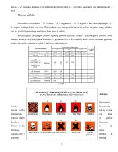Ergonomiška darbo vieta namuose 11 puslapis