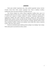 Ginčai ir konfliktai 2 puslapis