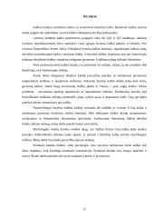 Kalbos kultūros klaidos su pavyzdžiais 10 puslapis