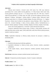 Derybos: efektyvių derybų principai 4 puslapis
