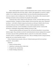 Krovinio pervežimas: avalynė 2 puslapis