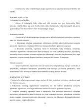 Krovinio pervežimas: avalynė 13 puslapis