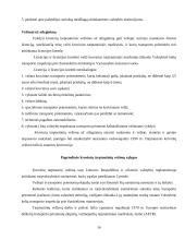 Krovinio pervežimas: avalynė 16 puslapis