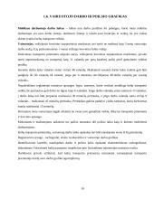 Krovinio pervežimas: avalynė 18 puslapis