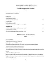 Krovinio pervežimas: avalynė 6 puslapis