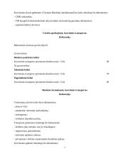 Krovinio pervežimas: avalynė 7 puslapis