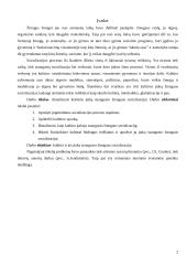 Kultūros įtaka suaugusio žmogaus socializacijai 2 puslapis