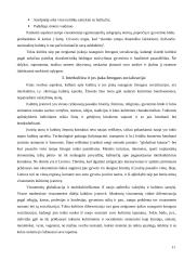 Kultūros įtaka suaugusio žmogaus socializacijai 11 puslapis