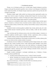 Kultūros įtaka suaugusio žmogaus socializacijai 3 puslapis