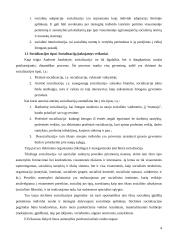 Kultūros įtaka suaugusio žmogaus socializacijai 4 puslapis