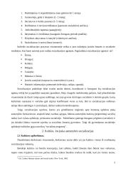 Kultūros įtaka suaugusio žmogaus socializacijai 5 puslapis