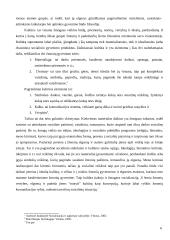 Kultūros įtaka suaugusio žmogaus socializacijai 6 puslapis