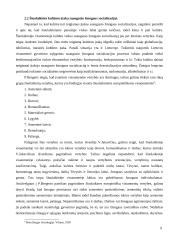 Kultūros įtaka suaugusio žmogaus socializacijai 9 puslapis