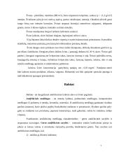 Lengvai lydūs lydiniai 7 puslapis