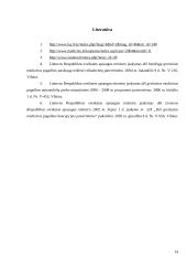 Ligoninių logistika 13 puslapis
