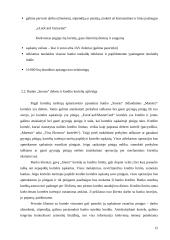 Mokėjimo kortelės: AB bankas "Snoras" 12 puslapis