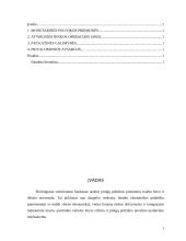 Monetarinės politikos priemonės bei jų vykdymas 2 puslapis