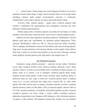 Monetarinės politikos priemonės bei jų vykdymas 11 puslapis