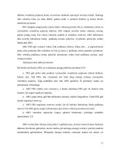 Monetarinės politikos priemonės bei jų vykdymas 12 puslapis