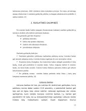 Monetarinės politikos priemonės bei jų vykdymas 13 puslapis