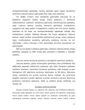 Monetarinės politikos priemonės bei jų vykdymas 14 puslapis