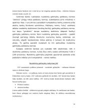 Monetarinės politikos priemonės bei jų vykdymas 15 puslapis