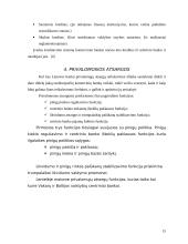 Monetarinės politikos priemonės bei jų vykdymas 16 puslapis