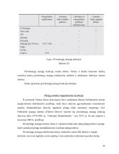 Monetarinės politikos priemonės bei jų vykdymas 17 puslapis