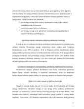 Monetarinės politikos priemonės bei jų vykdymas 18 puslapis