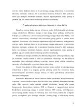 Monetarinės politikos priemonės bei jų vykdymas 19 puslapis