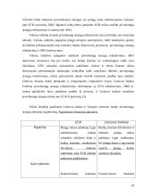 Monetarinės politikos priemonės bei jų vykdymas 20 puslapis