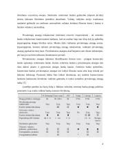 Monetarinės politikos priemonės bei jų vykdymas 5 puslapis