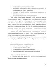 Monetarinės politikos priemonės bei jų vykdymas 10 puslapis