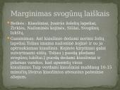 Margučių marginimo būdai 3 puslapis