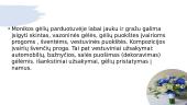 ,,Monikos gėlės‘‘ 4 puslapis