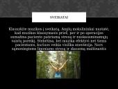 Muzikos galia 6 puslapis