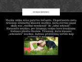 Muzikos galia 9 puslapis