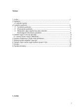 Nedarbas Lietuvoje ir to pasekmės 2 puslapis