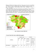 Nedarbas Lietuvoje ir to pasekmės 11 puslapis