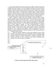 Nedarbas Lietuvoje ir to pasekmės 16 puslapis