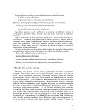 Nedarbas Lietuvoje ir to pasekmės 17 puslapis