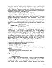 Nedarbas Lietuvoje ir to pasekmės 6 puslapis