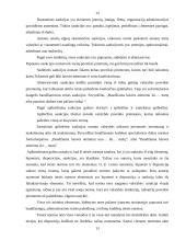 Teisės norma kaip vienas iš teisės ontologinių lygmenų 13 puslapis